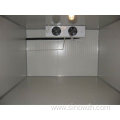 Modular Walk in Freezer Room/Cold Storage Room for Sale